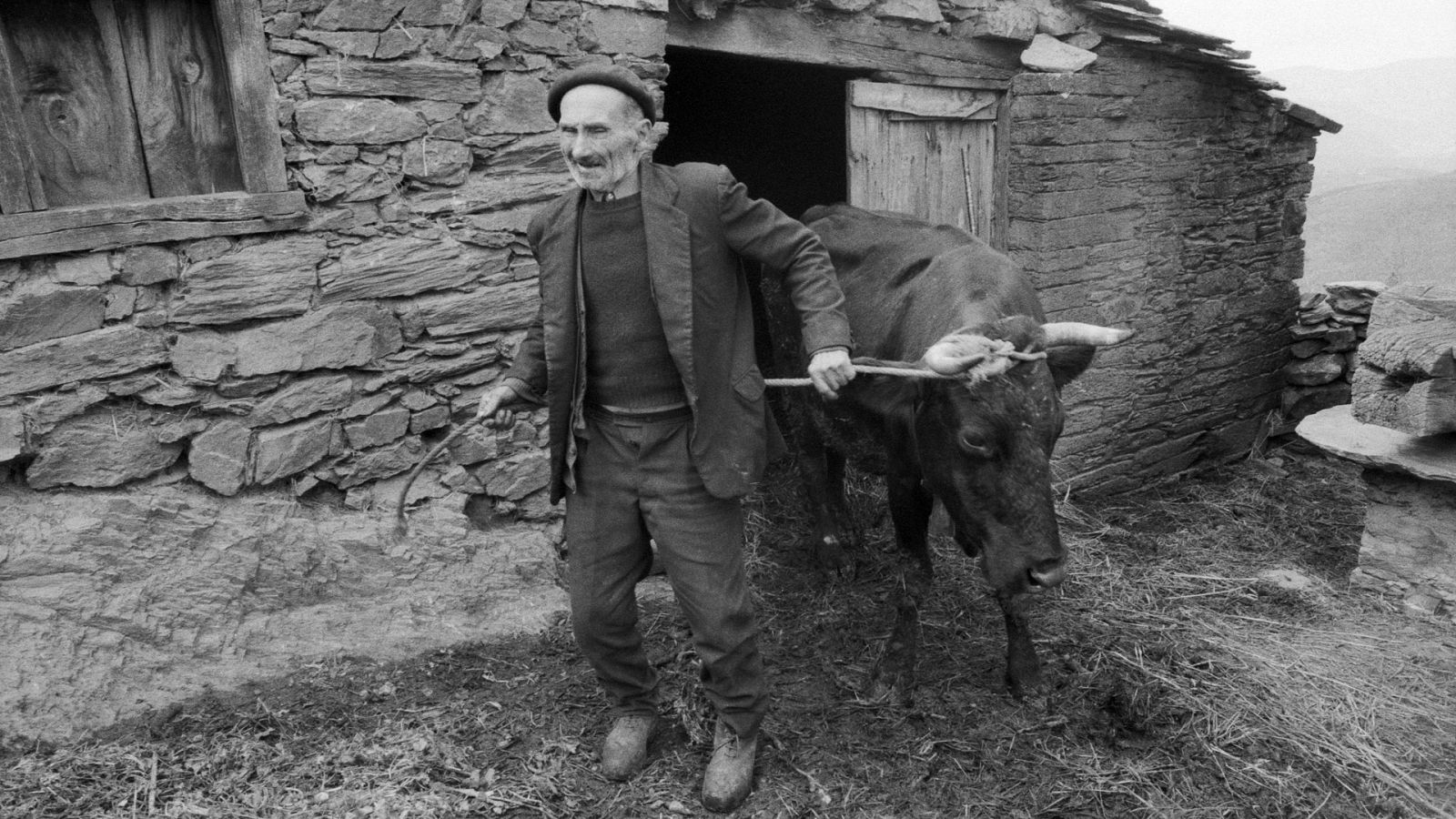 Detrás del instante - Anna Turbau - ver ahora