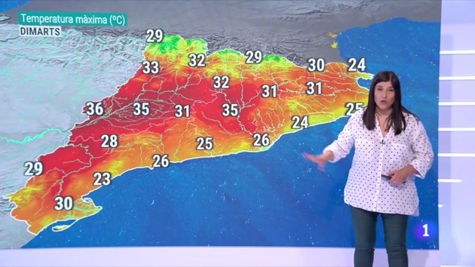 El Temps (11/05/2022) - Caloreta, calor i calorada