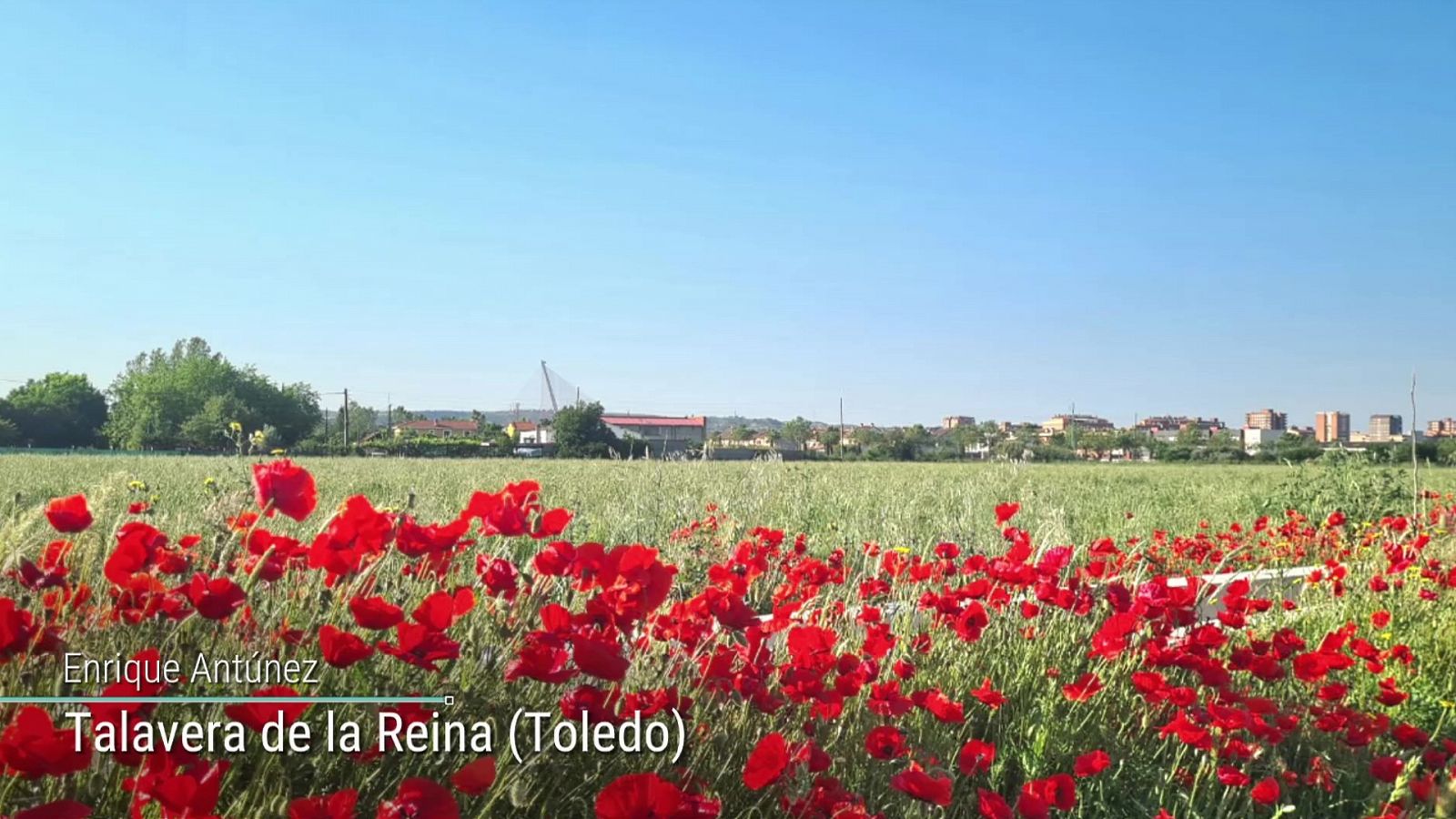 El Tiempo - 11/05/22 - RTVE.es