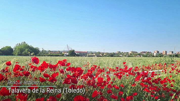 Levante fuerte en el Estrecho. Temperaturas altas en la meseta Norte