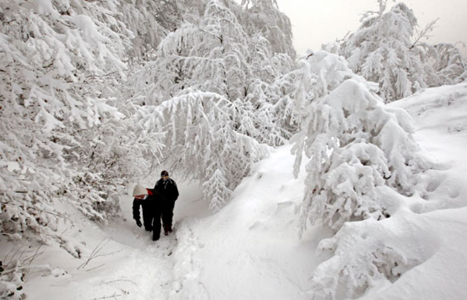 Las previsiones se han cumplido y en muchos lugares del norte de la península ha amanecido a casi 20 bajo cero. En Castilla y León se preparan para otro día de frío y además nieve.  20/12/09.