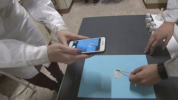 Comando Actualidad - Ojo al dato