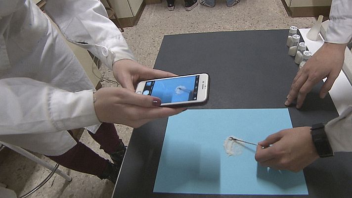 Comando Actualidad - Ojo al dato