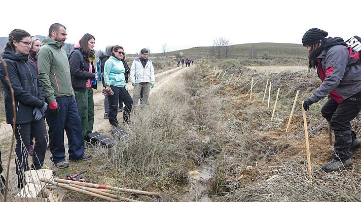 Para todos La 2 - Para todos La 2 - 07/05/22 - Lengua de signos