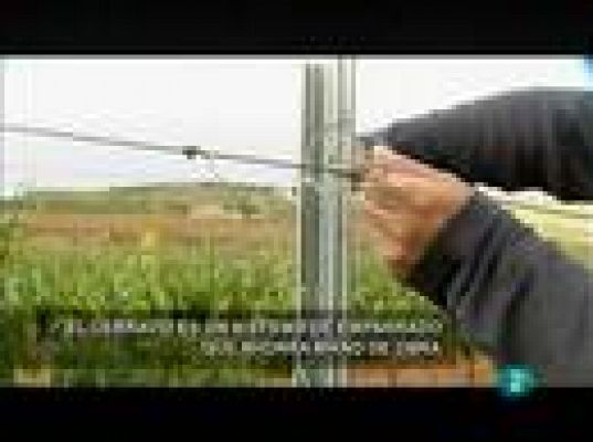 Fábrica de ideas - Inventa: Cerravid