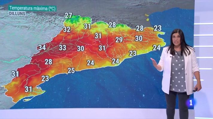 El temps - Calor d'estiu al maig