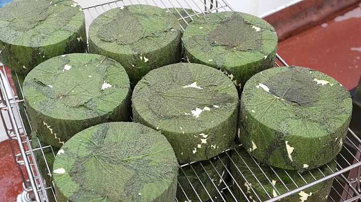 Secretos de los quesos - Queso Cheddar de Inglaterra: Reino Unido