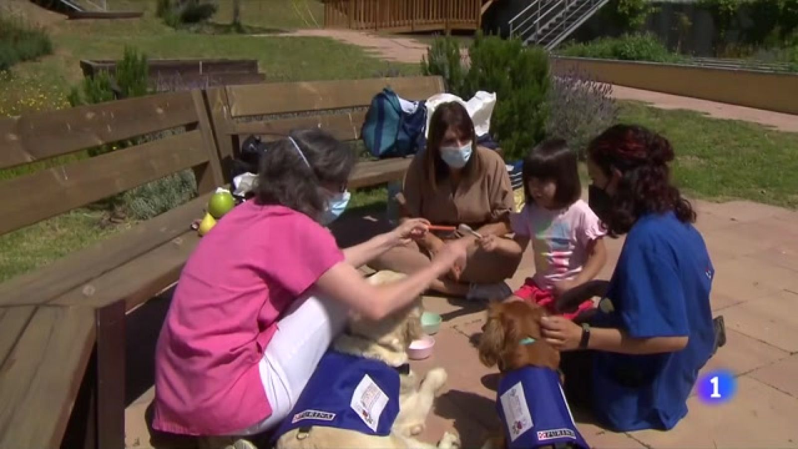 L'escola inclusiva és una quimera per a moltes famílies