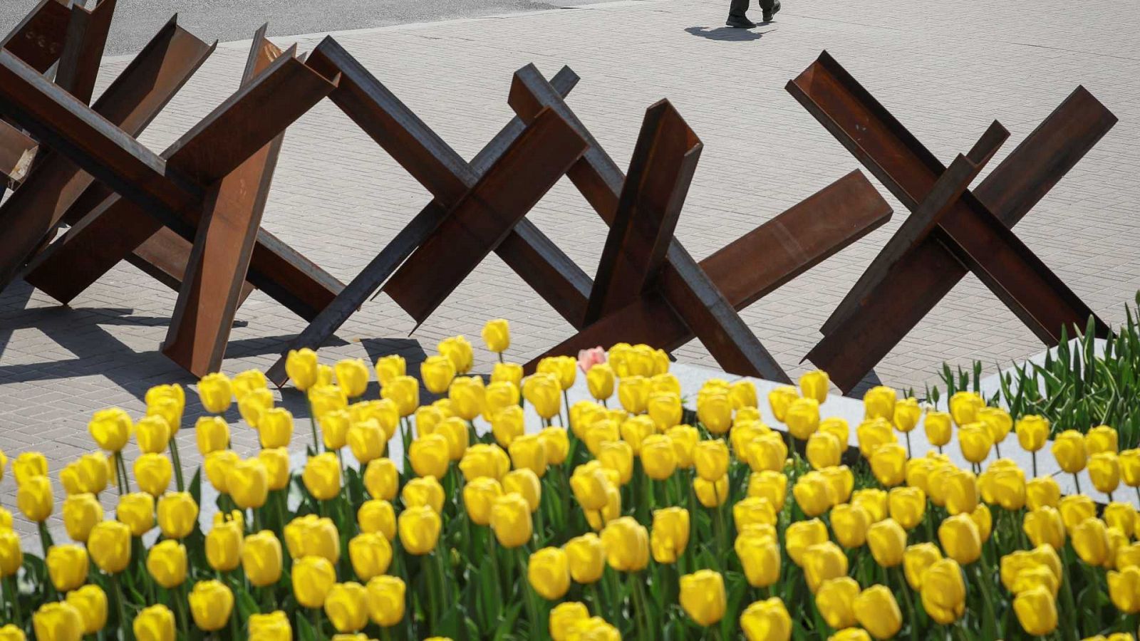 Telediario Fin de Semana: Tulipanes para crear espacios de tranquilidad en Dnipro | RTVE Play