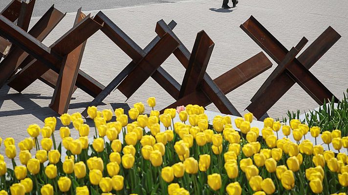 Tulipanes para crear espacios de tranquilidad en Dnipro