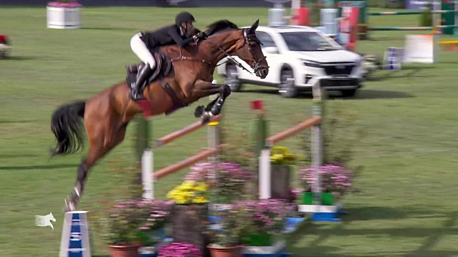 Hipica - LGCT Madrid. Copa SM el Rey - RTVE Play