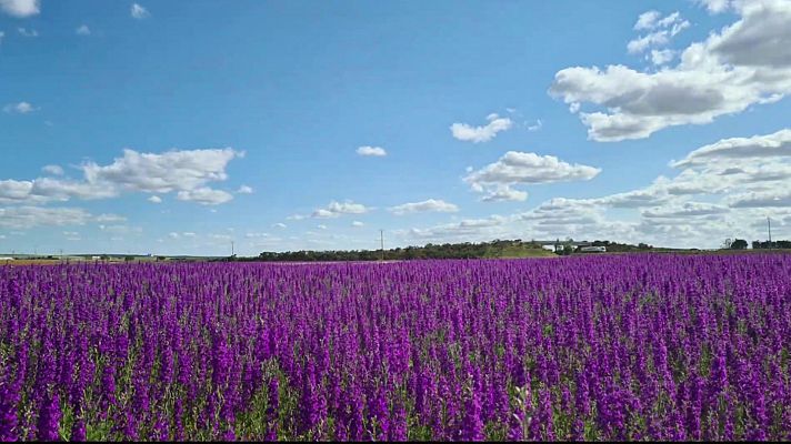 El tiempo - Temperaturas nocturnas en ascenso en el extremo sureste peninsular