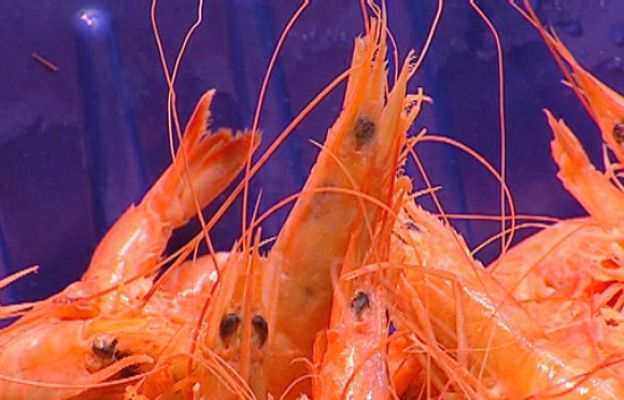  - Acuerdo insuficiente