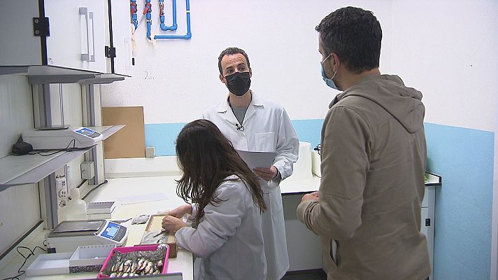 Comando Actualidad - Sumario de "Plastívoros", en Comando Actualidad