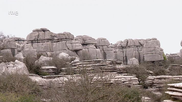 El Torcal de Antequera y los dinosaurios 