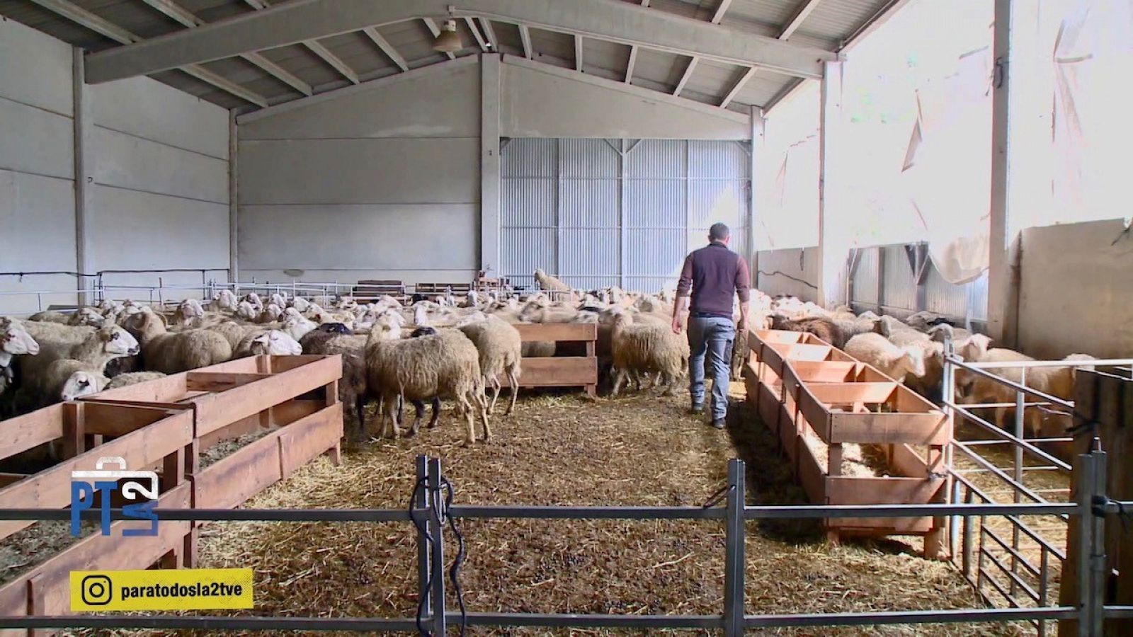 Escuela de pastores en el Pirineo aragonés