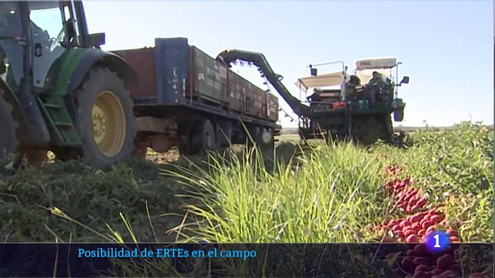 El campo extremeño ante una situación de ERTEs