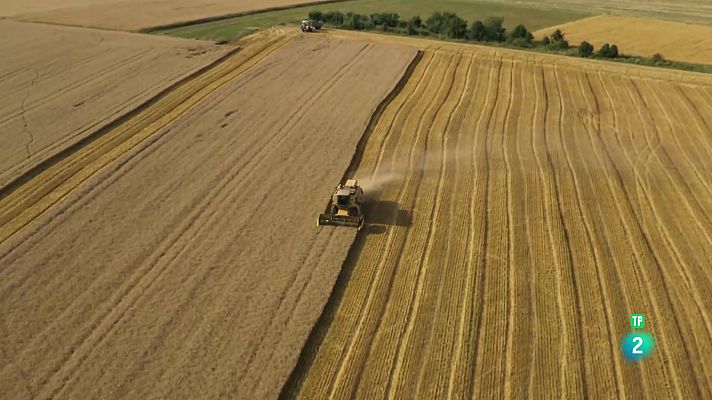 ¿Qué impacto tiene la agricultura en el medio ambiente?