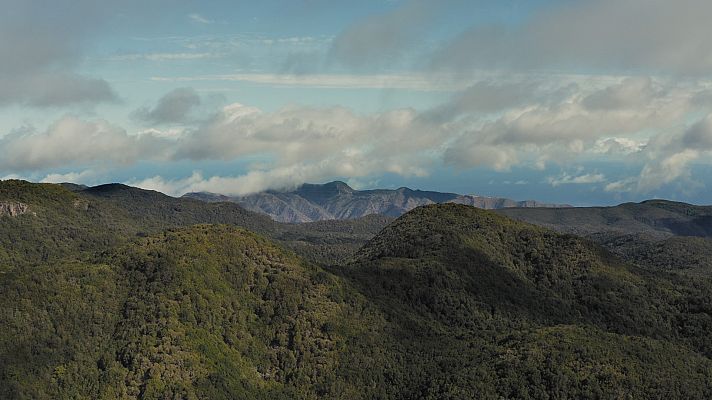 Islas Canarias. Las hijas del volcan