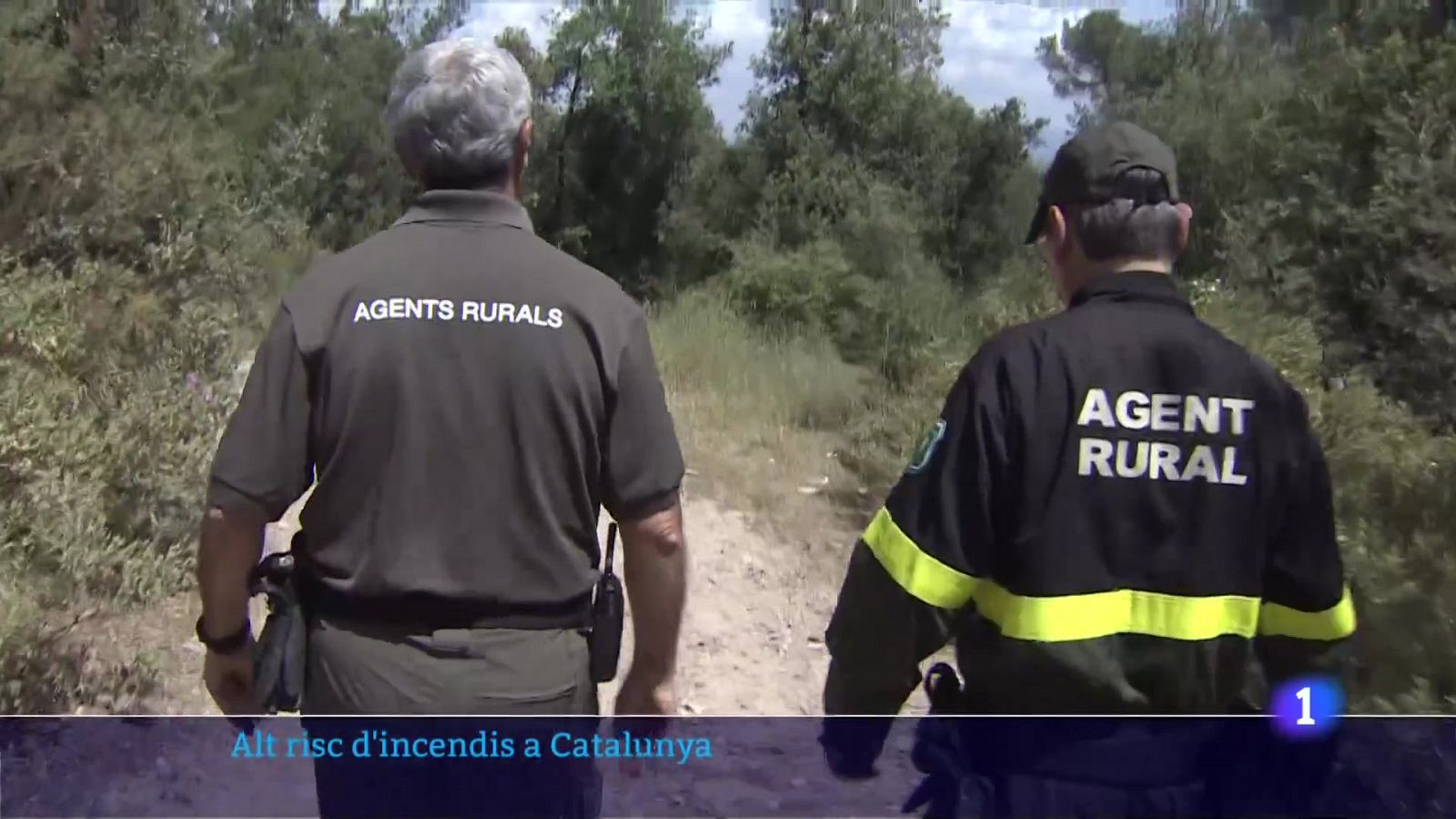 Alt risc d'incendis: el potencial dels focs podria ser de 500 hectàrees