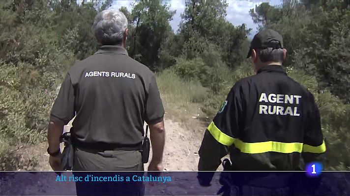 L'Informatiu - Alt risc d'incendis a Catalunya: el potencial dels focs podria ser de 500 hectàrees