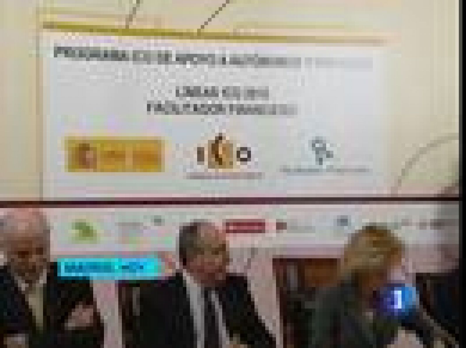 El ICO simplifica sus líneas de crédito para que lleguen con más rapidez a los empresarios | Ver