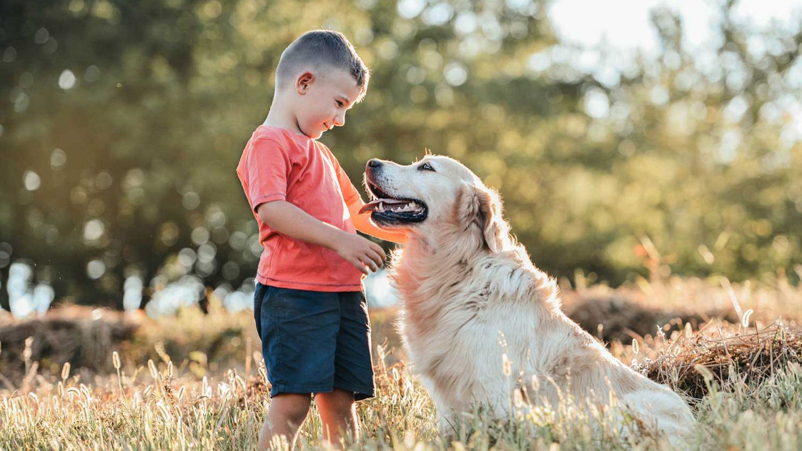 Para todos La 2 - 14/05/22 - Lengua de signos - ver ahora