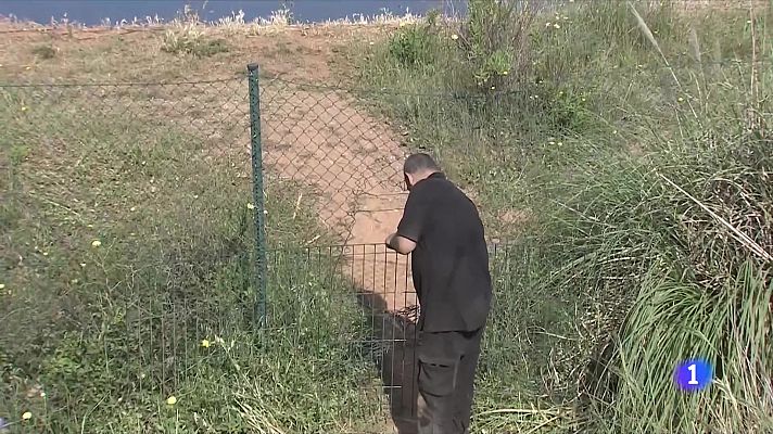 L'Informatiu - Mor ofegat un menor de 9 anys en una bassa a Terrassa