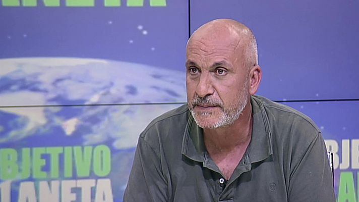 Objetivo Planeta - Salmones y anguilas en grave peligro