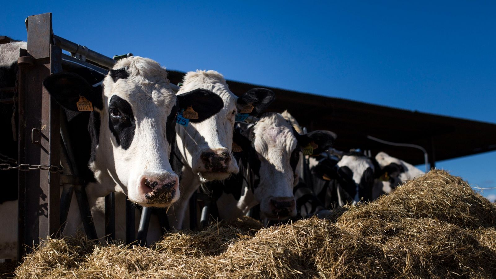 La huella ecológica de la alimentación en España supera la de la UE