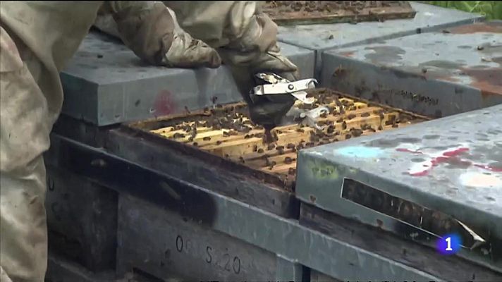 L'informatiu - Comunitat Valenciana - L'Informatiu Comunitat Valenciana 2 - 20/05/22