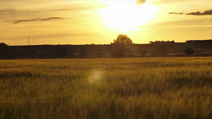 Temperaturas significativamente altas en zonas de la mitad sur peninsular