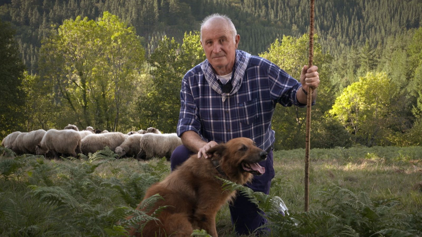 Turismo rural en el mundo - País Vasco: el refugio de los pastores - ver ahora