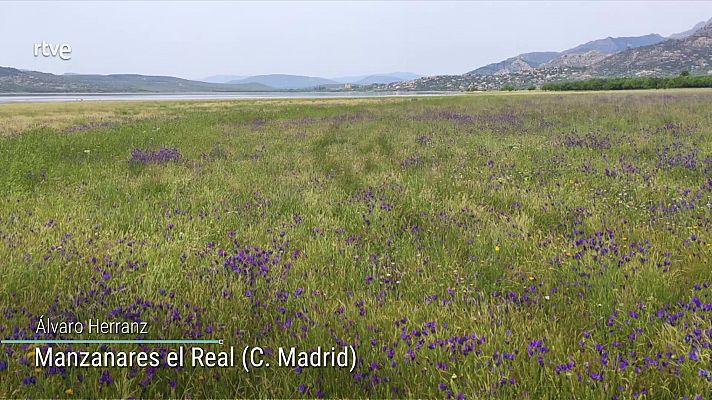 Temperaturas significativamente altas en buena parte de la Península y en Baleares