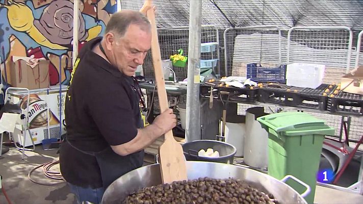 En Lleida se consumirán 12 toneladas de caracoles