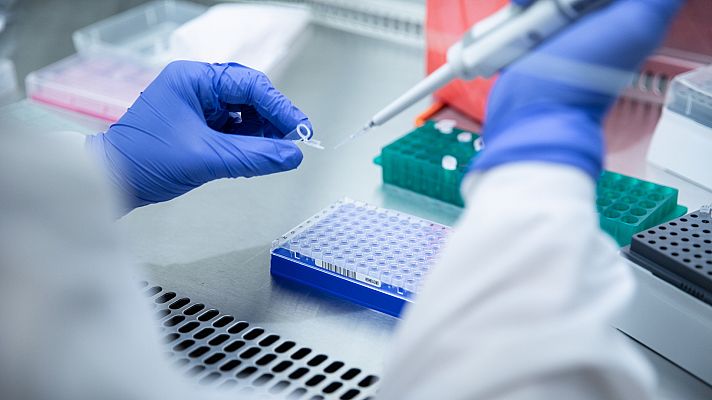 Informativo 24h - Madrid estudia si existe relación entre los casos de viruela del mono en la capital y en Canarias