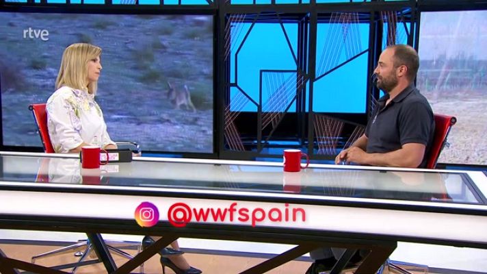 La aventura del Saber - El proyecto Life Iberconejo, con WWF