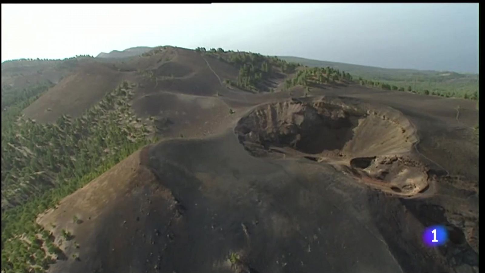 Telecanarias: Con un 40% del territorio protegido, Canarias tiene el 20% de sus especies amenazadas | RTVE Play