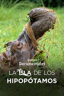 Somos Documentales - La isla de los hipopótamos