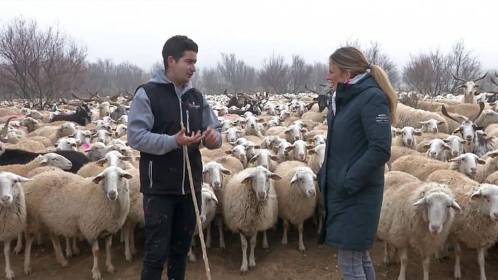 Comando Actualidad - Sin relevo