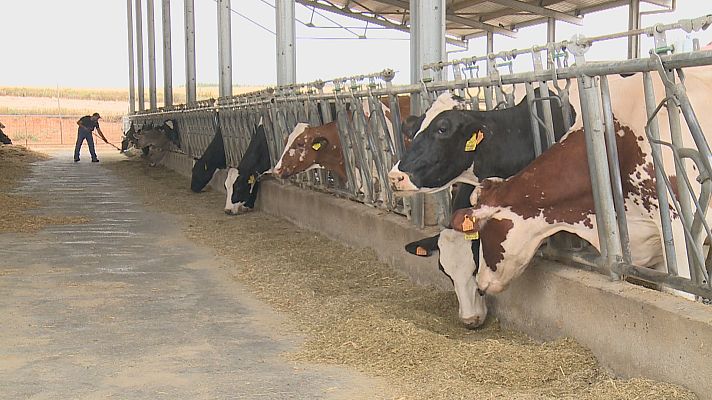 Telexornal - Galicia - Granxeiros en liña