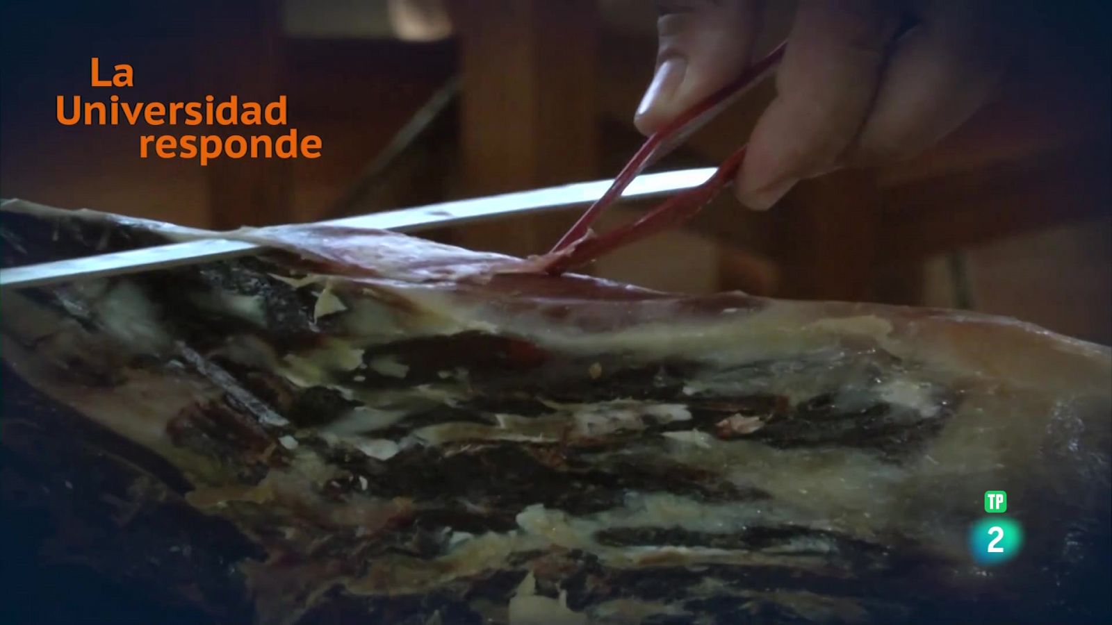 La aventura del saber - ¿Cuál es el secreto para hacer un buen jamón? - ver ahora