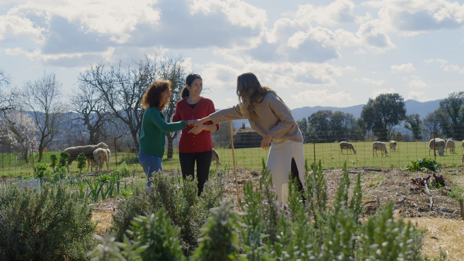 La Martina visita Mas Casas per descobrir els beneficis de la llana