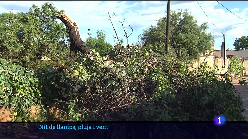 Més de 60 litres en una nit de tempesta - Veure ara