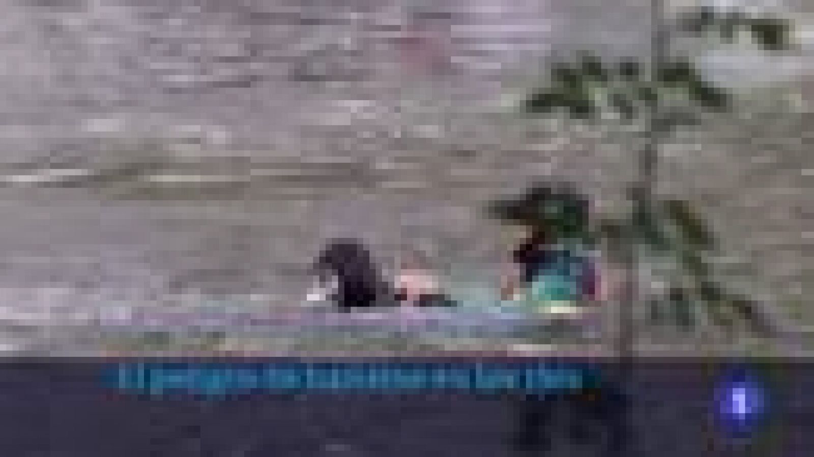 Informativo Telerioja 2 - 25/05/22