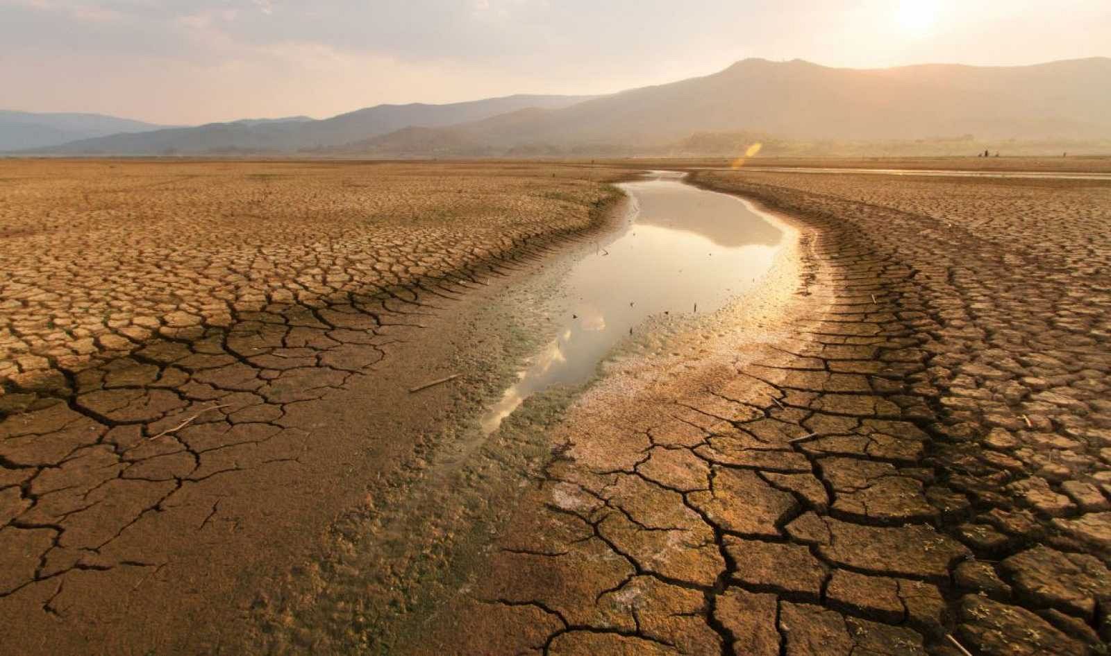 El cambio climático reduce cada año un 6% la producción agrícola