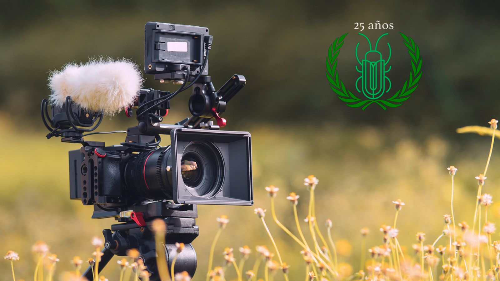 I Muestra video joven El escarabajo verde - Avance