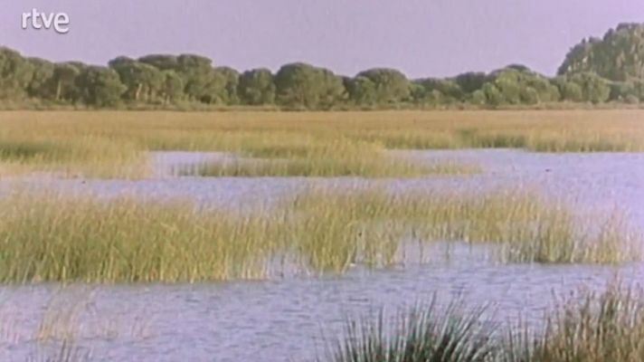 España húmeda - Fuentes de vida