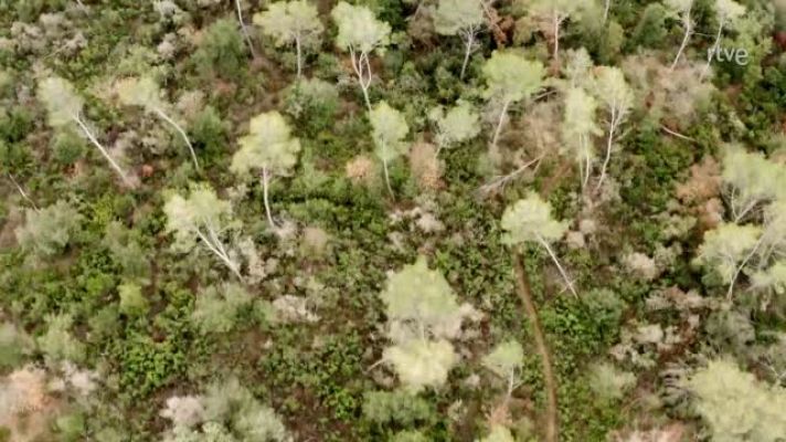 Cesc Escolà i Gemma Mengual fan rutina de glutis i abdomen