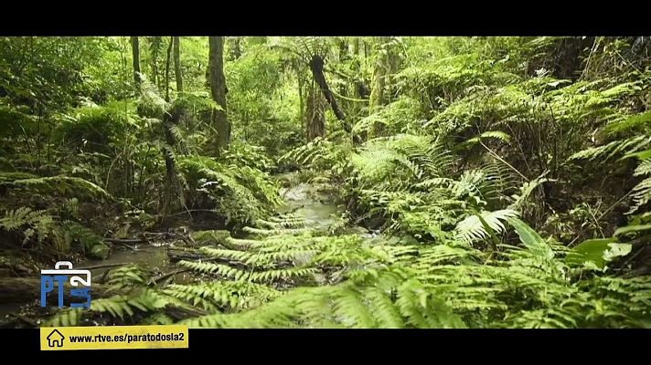 Para todos La 2 - Un mapa que detecta deforestación